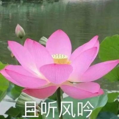 【境内疫情观察】河北新增51例本土病例（1月6日）